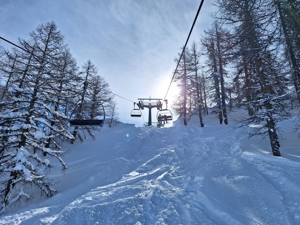 BOSCO E SEGGIOVIA